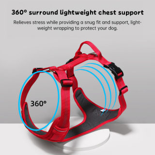 Breathable Reflective Dog Harness Vest | No-Pull Escape-Proof with Leash 2
