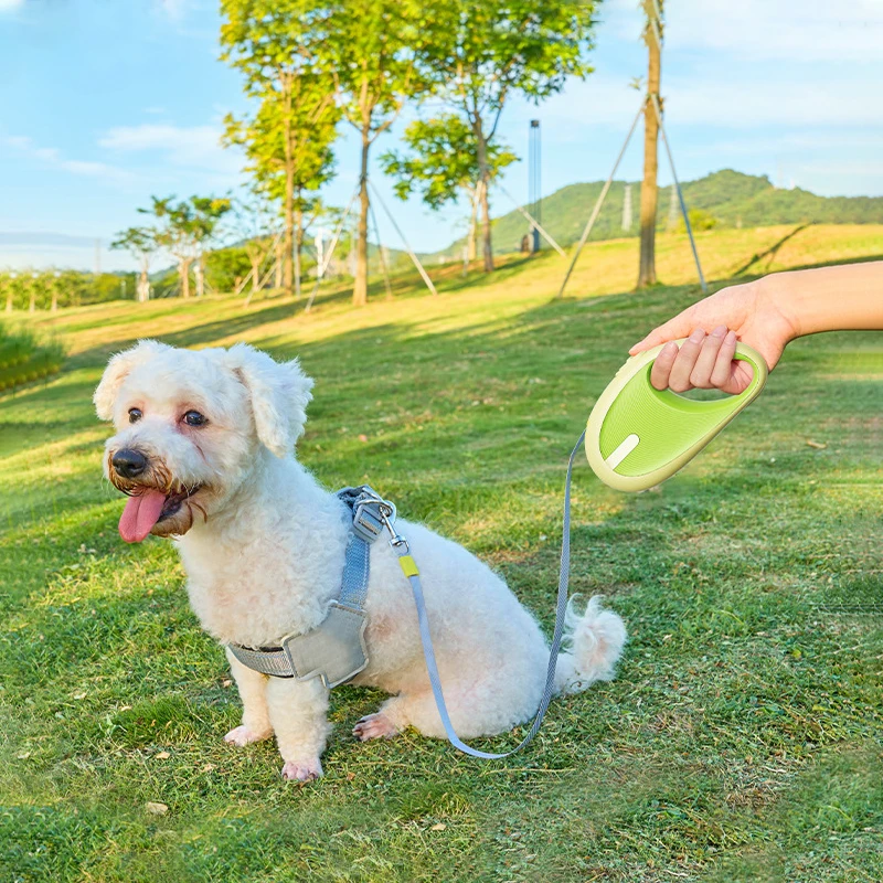 Automatic Retractable Leash for Small Dogs & Cats, 3m 6