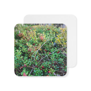 Wild Berry Nature Photo Coaster 5