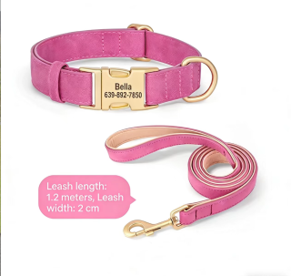Dog Collar with Lettering | Teddy Bear Design for Small Dogs 3