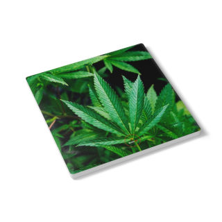 Marijuana leaf ceramic coaster | round cork-back drink mat 6