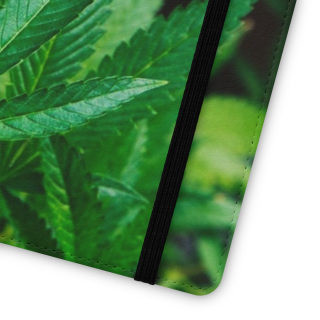 Marijuana leaf flip case 182
