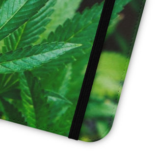 Marijuana leaf flip case 174