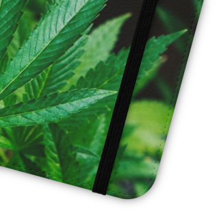Marijuana leaf flip case 176