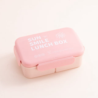 Compact Microwaveable Portable Lunch Box | 1000ml 4