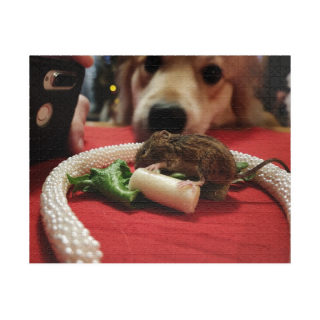 Curious Dog and Mouse Puzzle, 520-Piece Jigsaw | Photo Puzzle