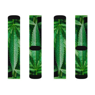 Cannabis leaf socks 4
