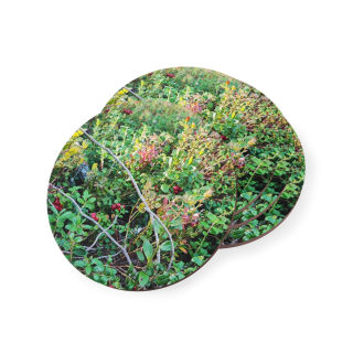 Wild Berry Foliage Coasters | Cork-Backed Round Drink Coasters 2