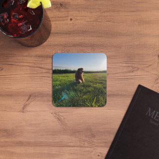 Sunlit Dog in Field Coasters | Square Photo Coaster, Pack of 50 or 100 11