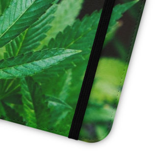 Marijuana leaf flip case 180