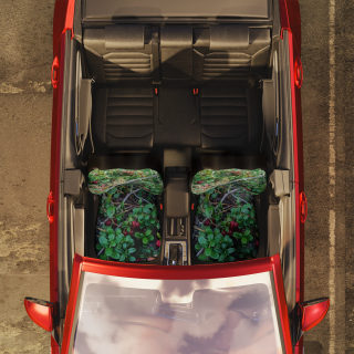 Forest Floor Berry Print Car Seat Covers | Nature Botanical Seat Protector 7