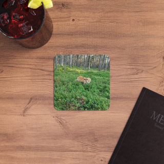 Cow in Forest Coasters | Square Drink Coaster Set 11