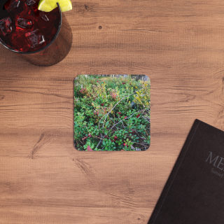 Wild Berry Nature Photo Coaster 11