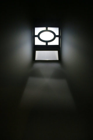 Uniquely Designed Solar 2-LED Garden Light 6
