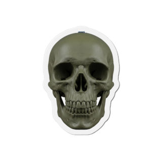 Olive Skull Die-Cut Magnet | Realistic Skull Refrigerator Magnet 2