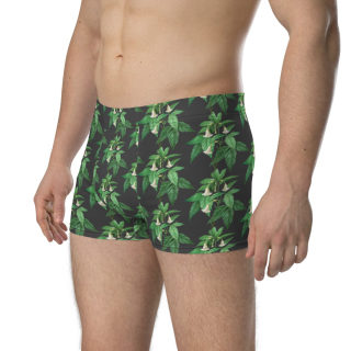 Boxer Briefs 10