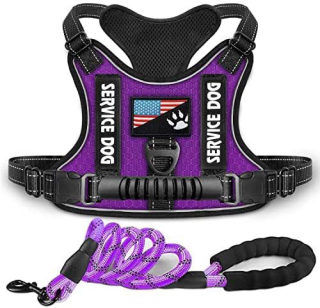 Shock-Absorbing Reflective Pet Chest Strap Harness | Night Vision Leash 6