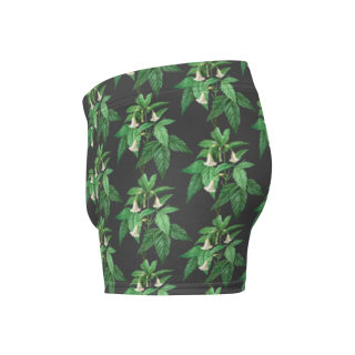 Boxer Briefs 8