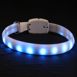Multi-Color LED Glow Collar for Dogs, Adjustable Length 6