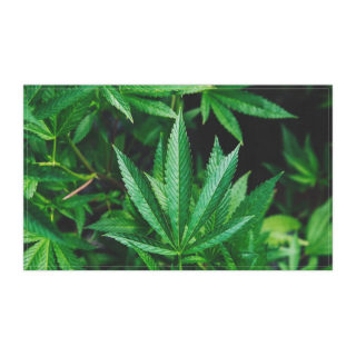 Cannabis Leaf Tea Towel | Kitchen Towel, Herb Botanical Print 3