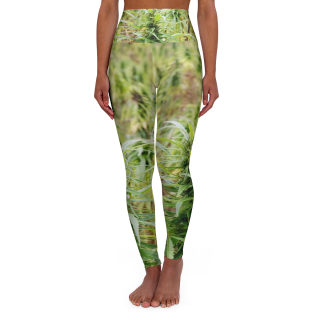 Green Moss Botanical Leggings | Yoga Leggings