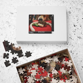 Curious Dog and Mouse Puzzle, 520-Piece Jigsaw | Photo Puzzle 4