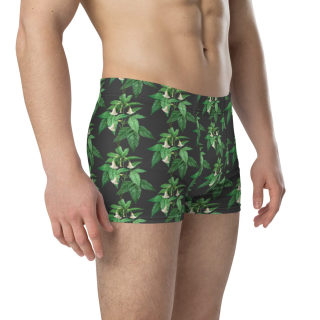 Boxer Briefs 13
