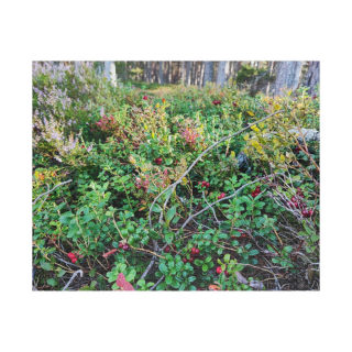 Lingonberry Forest Puzzle, 520 Pieces