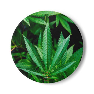 Marijuana leaf ceramic coaster | round cork-back drink mat
