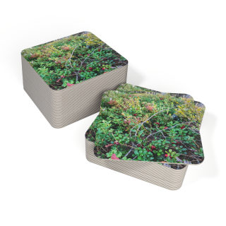 Wild Berry Nature Photo Coaster 7