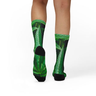 Cannabis leaf socks 19