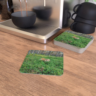 Cow in Forest Coasters | Square Drink Coaster Set 9