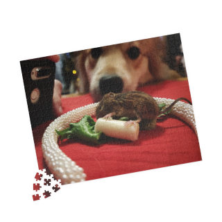 Curious Dog and Mouse Puzzle, 520-Piece Jigsaw | Photo Puzzle 3