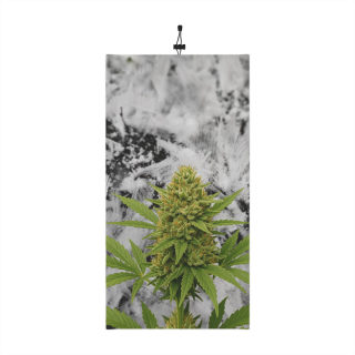 Cannabis Bud in Snow Neck Gaiter | Winter Neck Gaiter With Drawstring 2