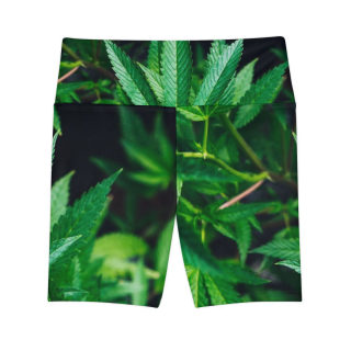 Green Cannabis Leaf Pattern Women's Workout Shorts | All-Over Print