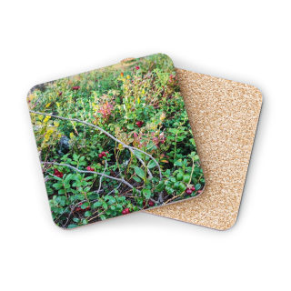 Wild Berry Foliage Coasters | Cork-Backed Round Drink Coasters 7