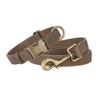 Dog Collar with Lettering | Teddy Bear Design for Small Dogs 5