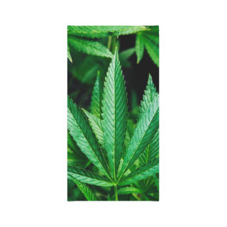 Marijuana Leaf Skull Neck Gaiter 3
