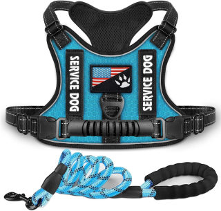 Shock-Absorbing Reflective Pet Chest Strap Harness | Night Vision Leash 5