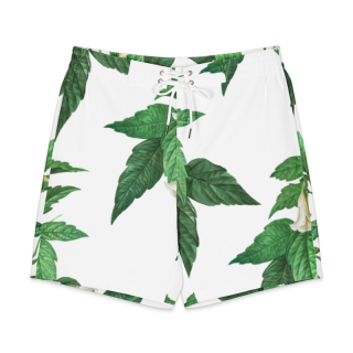 Men's board shorts