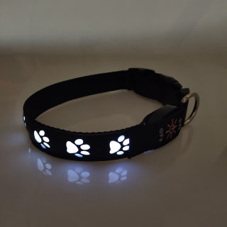 Rechargeable Luminous LED Paw-Print Dog Collar 2