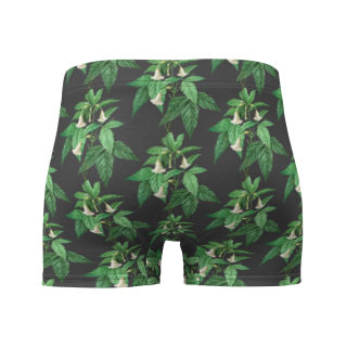 Boxer Briefs 3