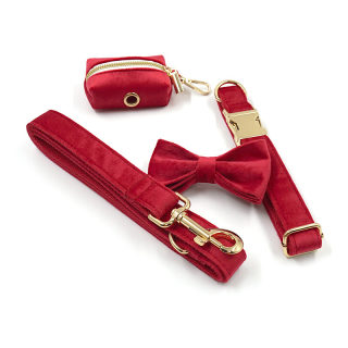 Christmas Red Velvet Pet Collar & Leash Set | Bow Design with Poop Bag Holder 4