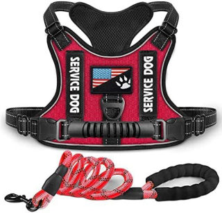Shock-Absorbing Reflective Pet Chest Strap Harness | Night Vision Leash