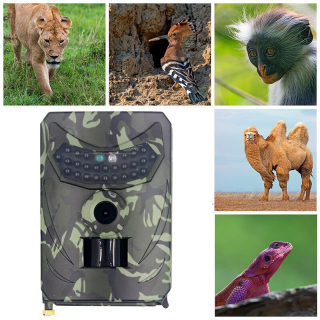 PR100 Trail Camera with Infrared Sensor, 12MP