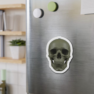 Olive Skull Die-Cut Magnet | Realistic Skull Refrigerator Magnet 10