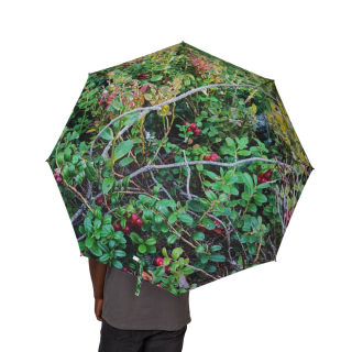 Green Foliage Print Umbrella | Botanical Leaves Rain Umbrella 4
