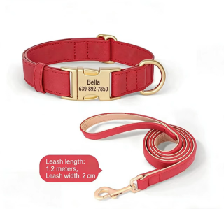Dog Collar with Lettering | Teddy Bear Design for Small Dogs 6