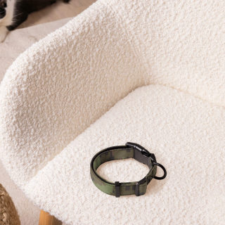 Pet Collar 7
