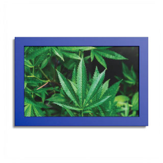 Cannabis leaf poster with colored frame 8